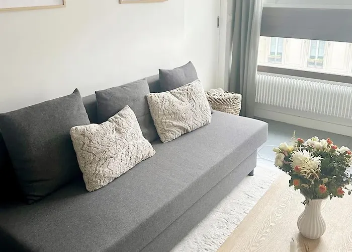 Cosy Et Confortable Appartement